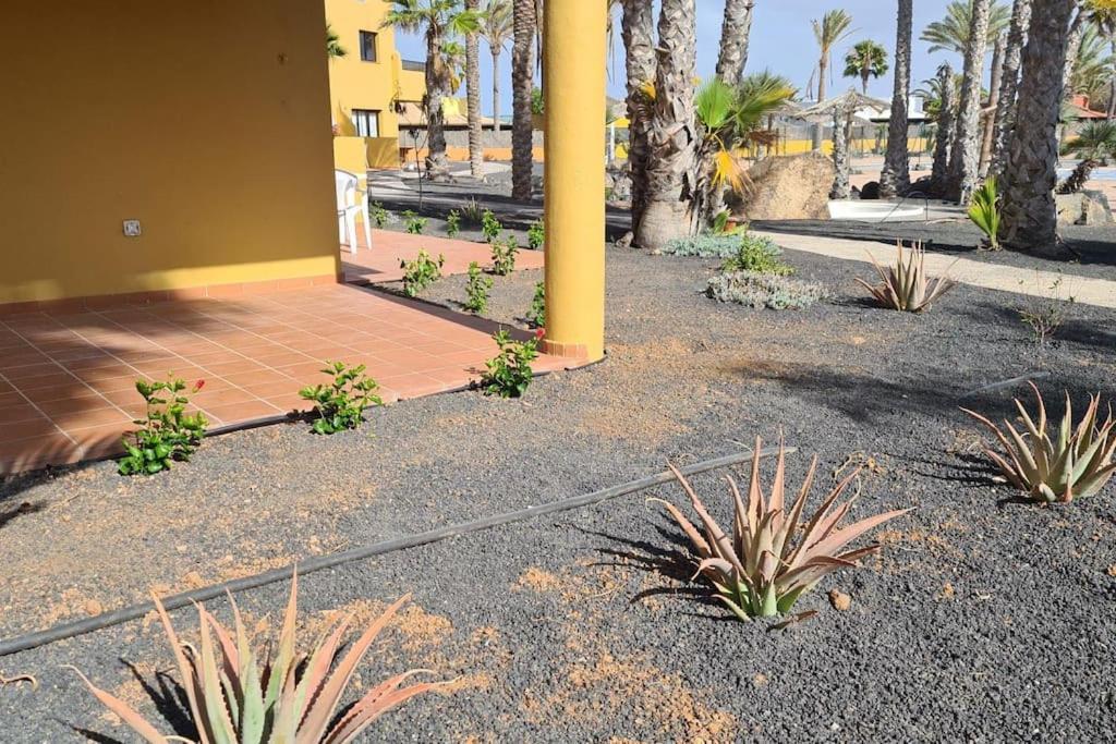 Appartement Beautiful Garden Flat Nearly Refurbished Free Wifi à Corralejo Extérieur photo